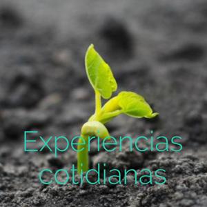 Experiencias cotidianas