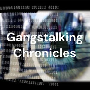 Gangstalking Chronicles by Gangstalking Chronicles