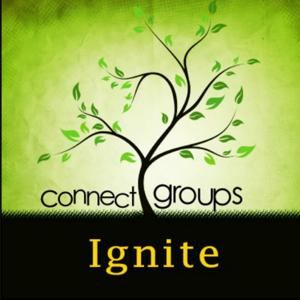 HSBC IGNITE Young Adult Group