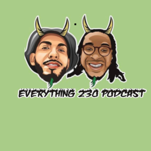 Everything 230 Podcast