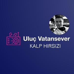 KALP HIRSIZI