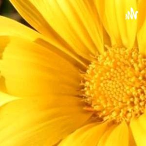 ToDa pOeSiA Vânia Moreira