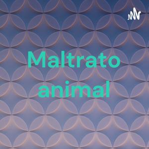 Maltrato animal