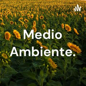 Medio Ambiente.