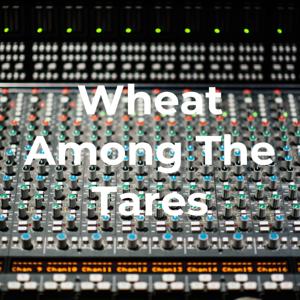 Wheat Among The Tares