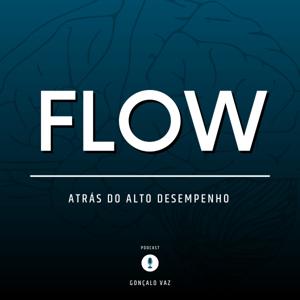 FLOW - Atrás do Alto Desempenho