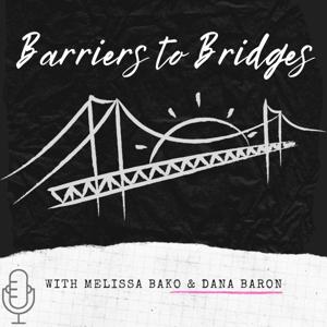 Barriers to Bridges