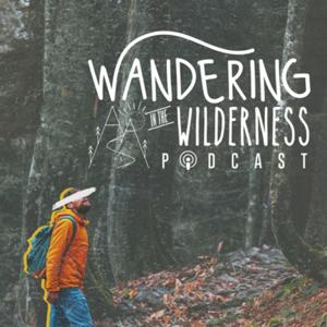 Wandering in the Wilderness