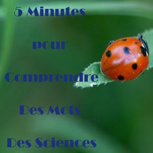 5 minutes pour comprendre, un peu de sciences dans un monde de brutes