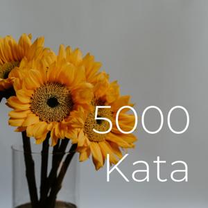 5000 Kata