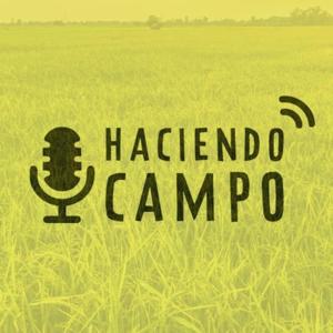 Haciendo Campo