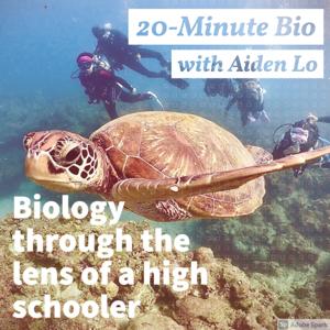 20-Minute Bio with Aiden Lo