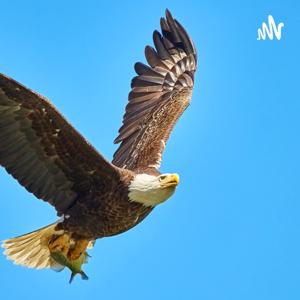Fundación Raising Eagles