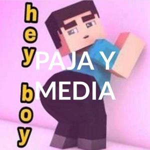 PAJA Y MEDIA