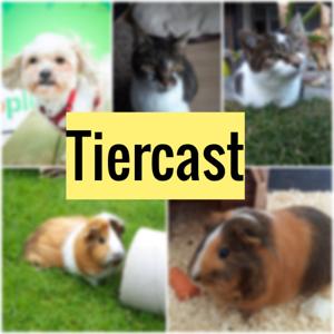 Tiercast