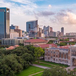 Houston Asian American Archive