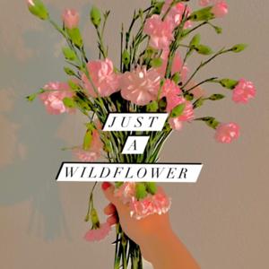 Where the Wildflowers are