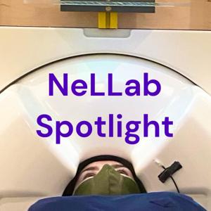 NeLLab Spotlight