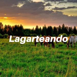 Lagarteando