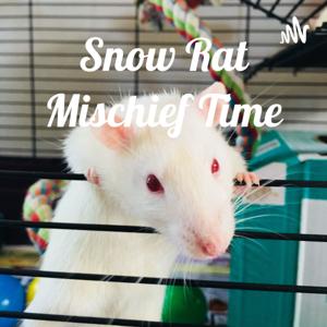 Snow Rat Radio