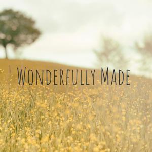 Wonderfully Made