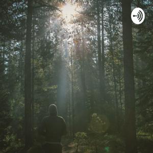 Gratitude on Gratitude