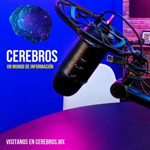 Cerebros - Un Mundo de Información