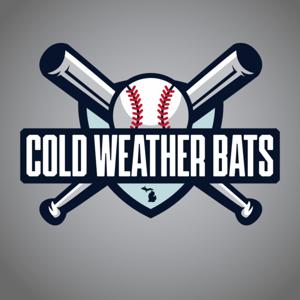 Cold Weather Bats