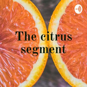 The Citrus Segment