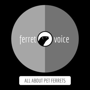 Ferret Voice Podcast