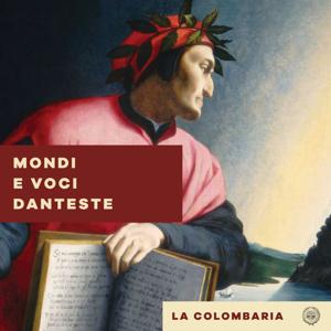 Dante 700