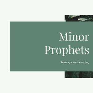 Study of the Minor Prophets