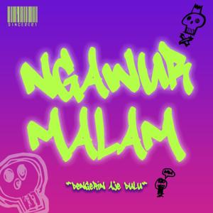 Ngawur Malam