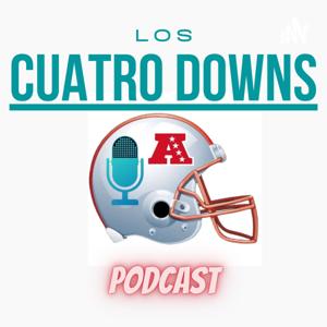 Los 4 Downs de la AFC NFL