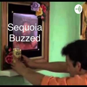 Sequoia Buzzed