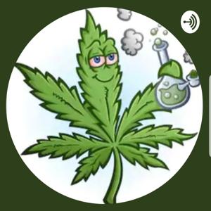 Pot Thoughts with Frankie