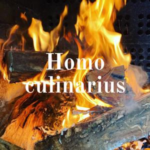 Homo culinarius