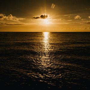 Crônicas Da Vera Renner