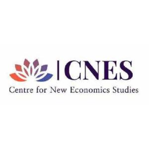 Center for New Economics Studies