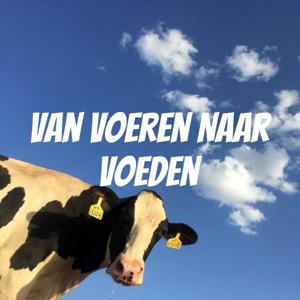 TheTransitionCompany - Van Voeren Naar Voeden