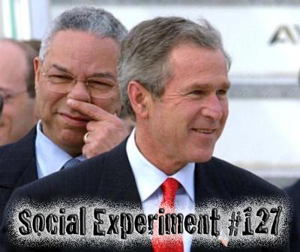 Social Experiment #127