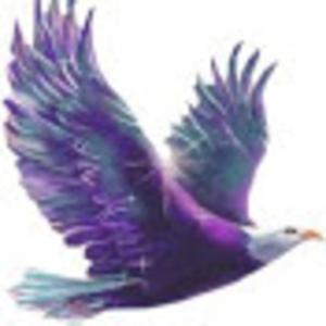 No More Broken Byrds