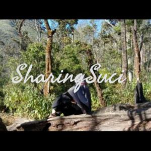 SharingSuci