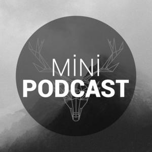 Mini Podcast