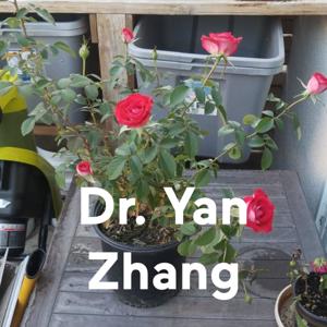 Dr. Yan Zhang https://yan-zhang-md.square.site
