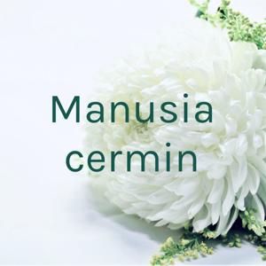 Manusia cermin