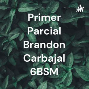 Temas Del Primer Parcial Brandon Carbajal 6BSM