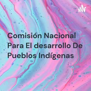 Comisión Nacional Para El desarrollo De Pueblos Indígenas