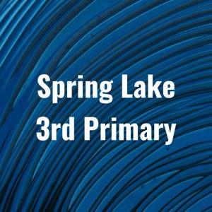 Spring Lake 3rd Primary