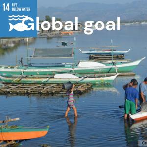 Global goal : Life below water